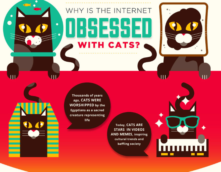 Why Is The Internet So Obsessed With Cats?