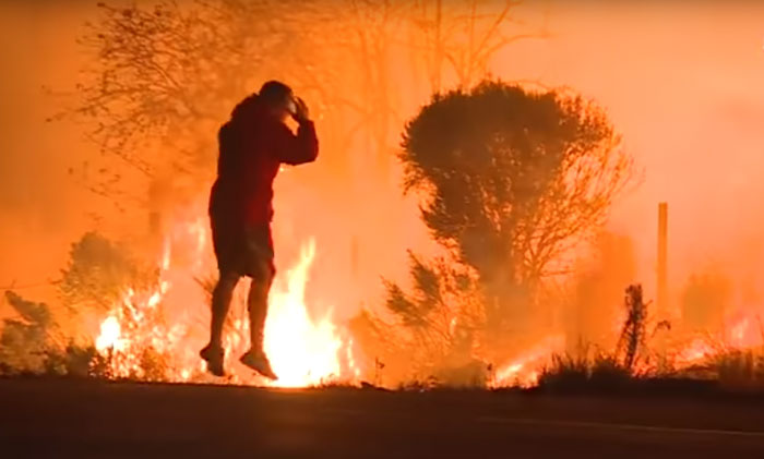 man-saves-bunny-wild-fires-california-2