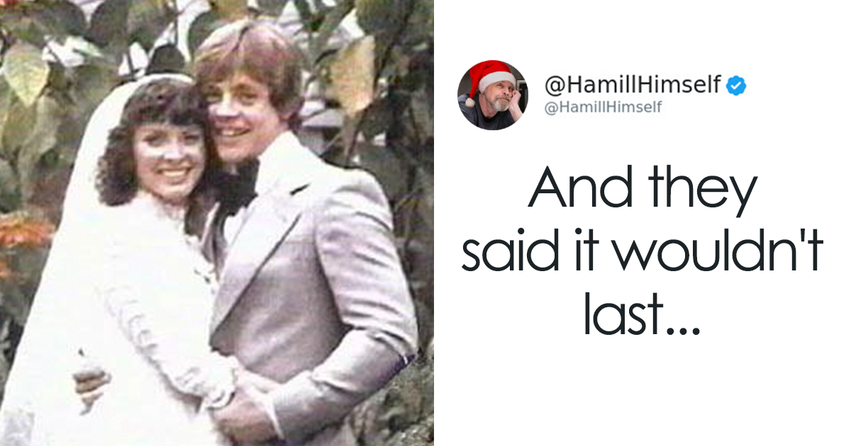 After All The Scandals Coming From Hollywood, This Post By Star Wars Actor Mark Hamill Restored Our Faith In It