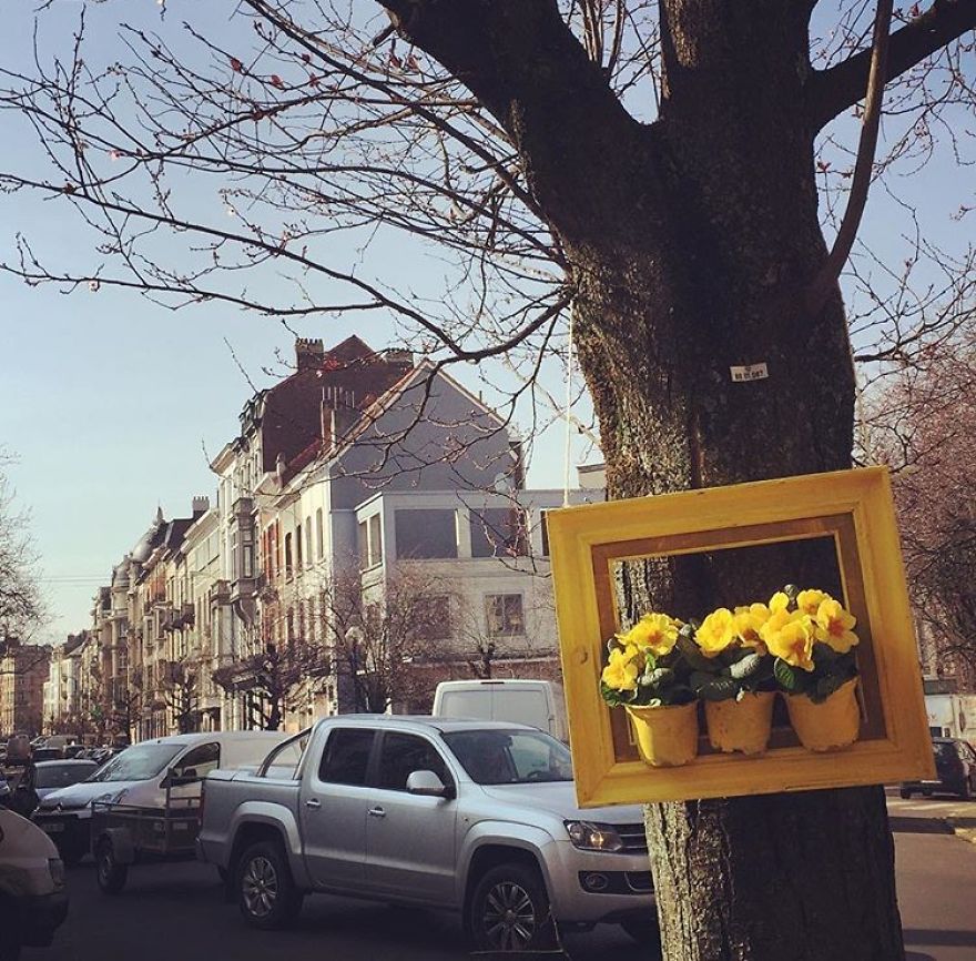 I Install Colorful Flowers In Wooden Frames All Over Cities
