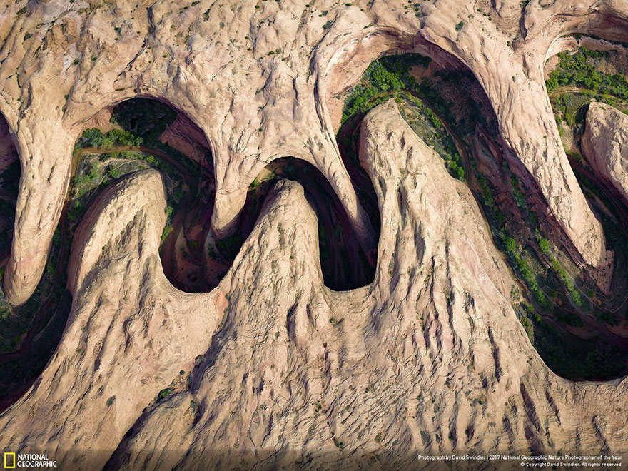 People's Choice, Aerials: Meandering Canyon, David Swindler