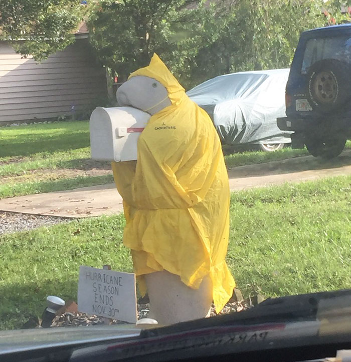 “My Neighbor Has This Manatee Mailbox He Dresses Up Throughout The Year And I’m Kind Of Obsessed With It”
