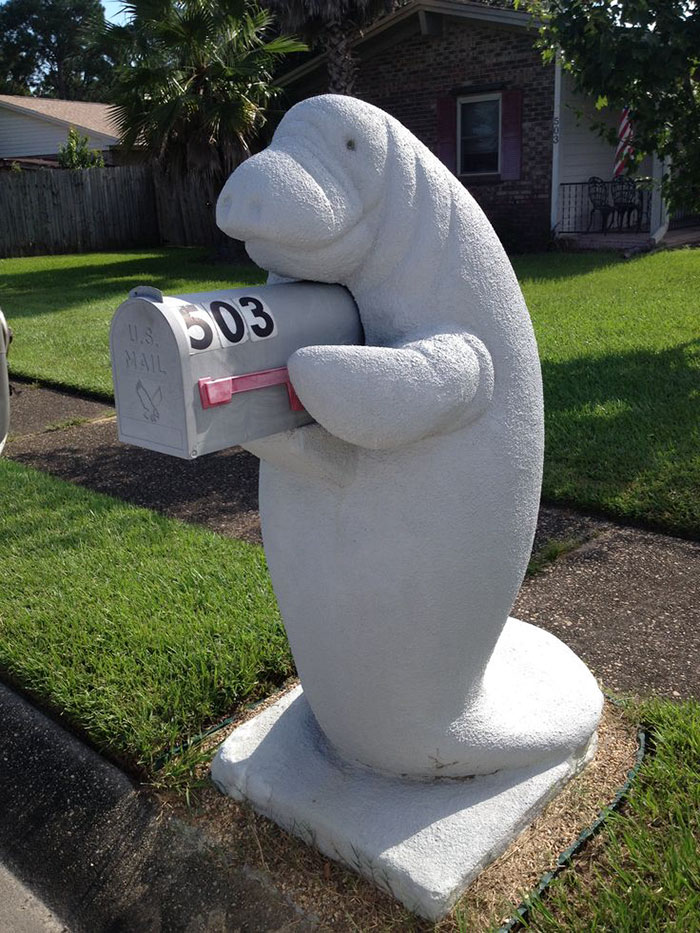 neighbors dressed up manatee mailbox marley 5a3a167f0f628  700 - “My Neighbor Has This Manatee Mailbox He Dresses Up Throughout The Year And I’m Kind Of Obsessed With It”