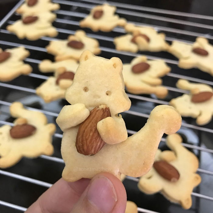 Nut Hugging Squirrel