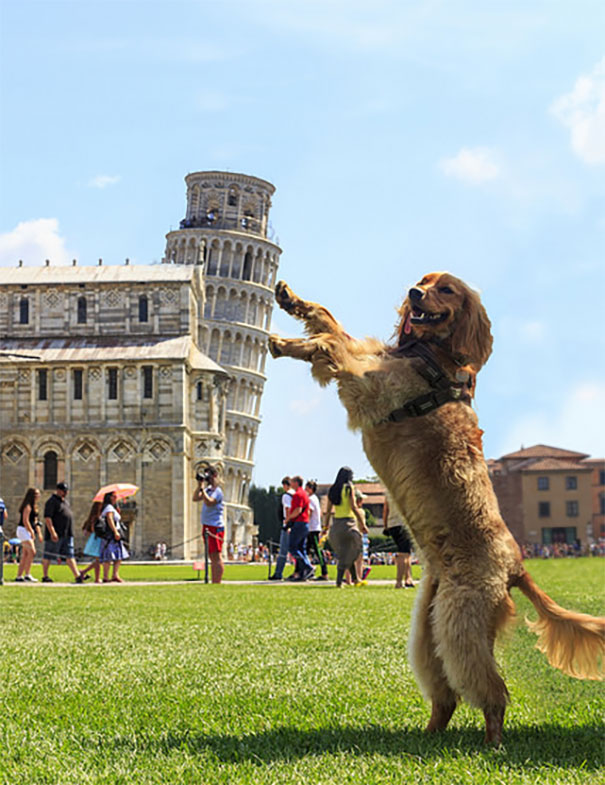 Oh, Good. Another "Holding Up The Leaning Tower Of Pisa" Pic
