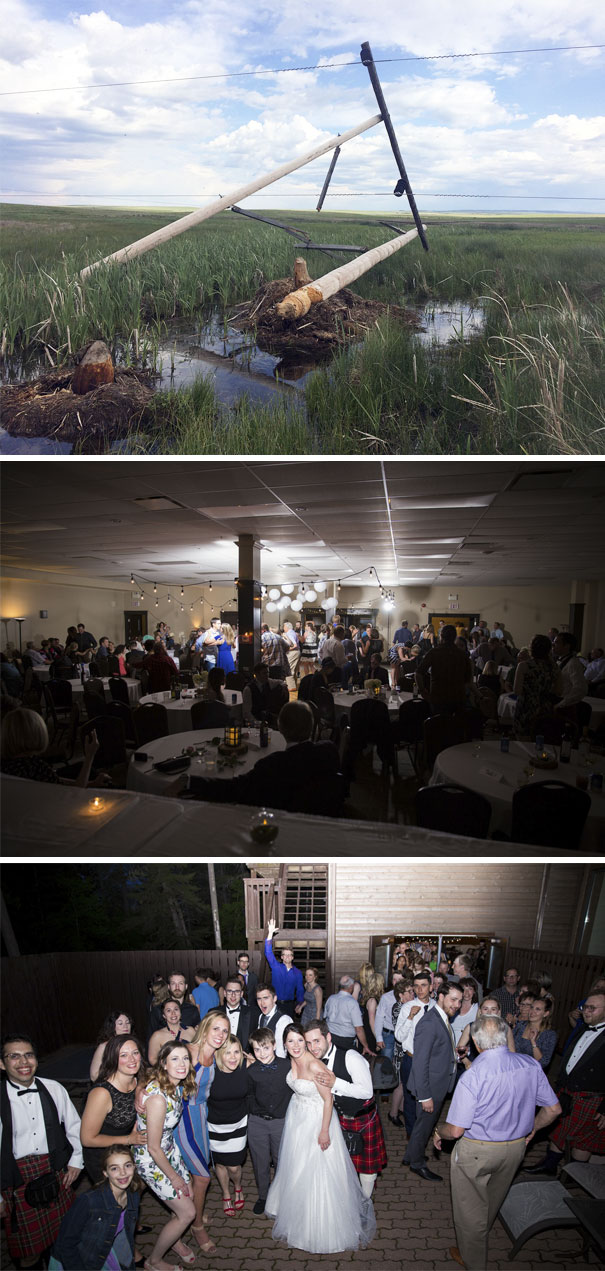 A Beaver Took The Power Out For 10 Hours At Our Wedding In Canada