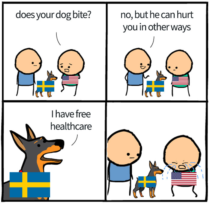 Insert Almost Every Flag On Earth Instead Sweden