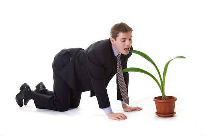 Man in a suit in doggy style position ready to eat a plant leaf