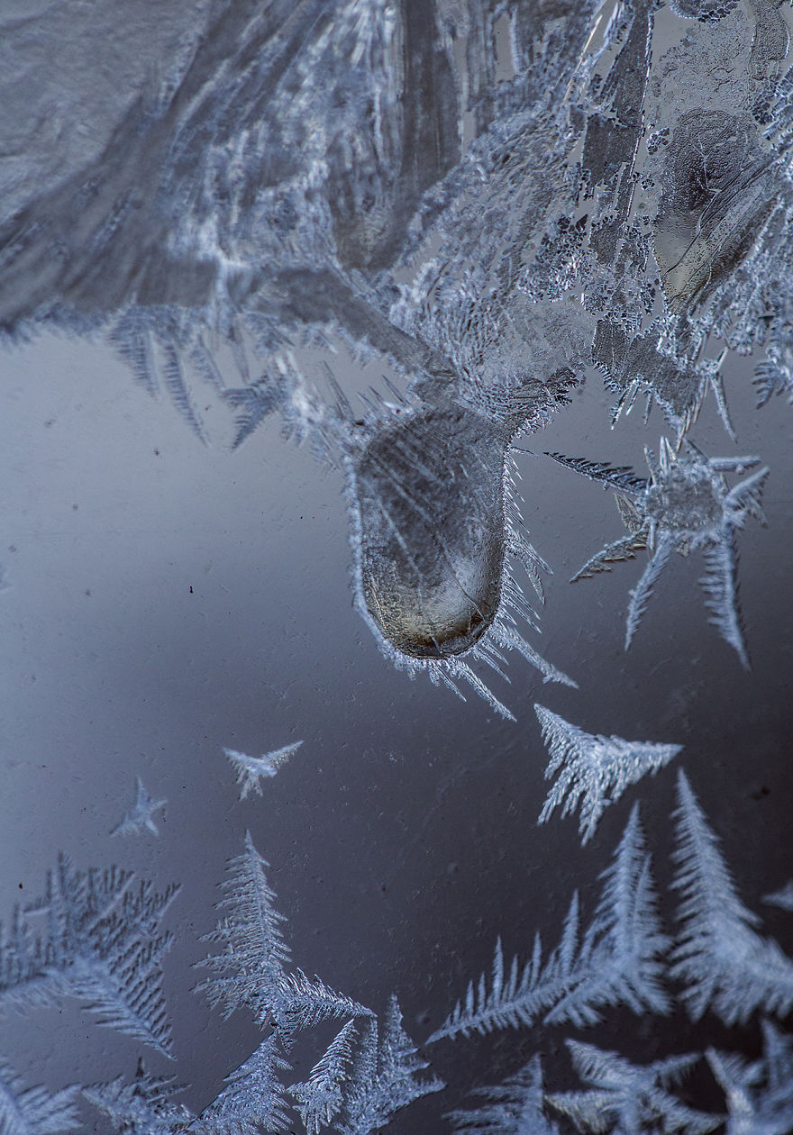 I'm An Adirondack Photographer And More Inspired By The Ice On My Windows Than The Mountain Views