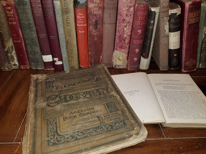 I Collect Antique Books (Anything Over 100 Years Old)--But Only From Yard Sales And Thrift Shops. The Oldest So Far Is From 1856.
