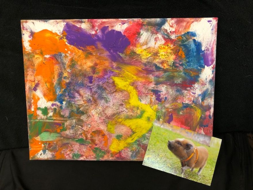 3-Legged Pig Paints To Raise Money For Rescues