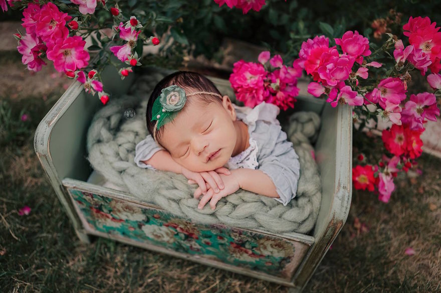 50 Best Newborn Photographers By State