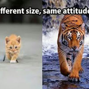 poojitajothipooj avatar