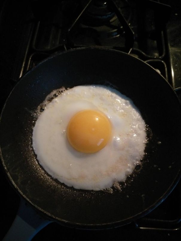 This Egg