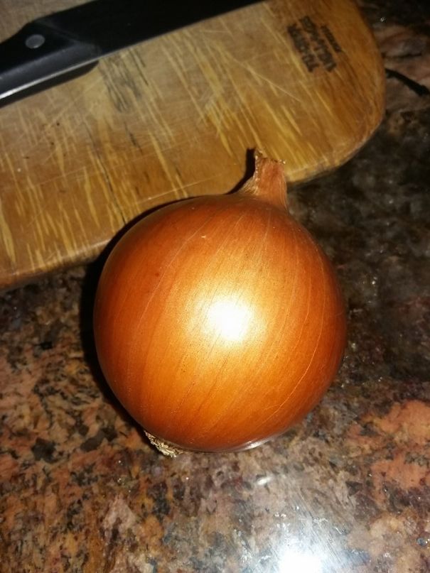 This Onion That I Bought Today