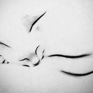 laura_smith_1 avatar