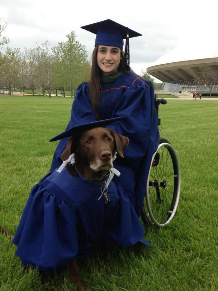 University Of Illinois Awarded An Honorary Master's Degree To Hero, A Service Dog Who Attended Each One Of His Owner's Classes