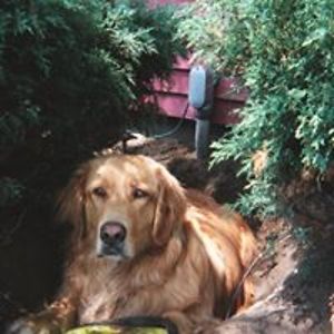 karen_barkel-rynbrandt avatar