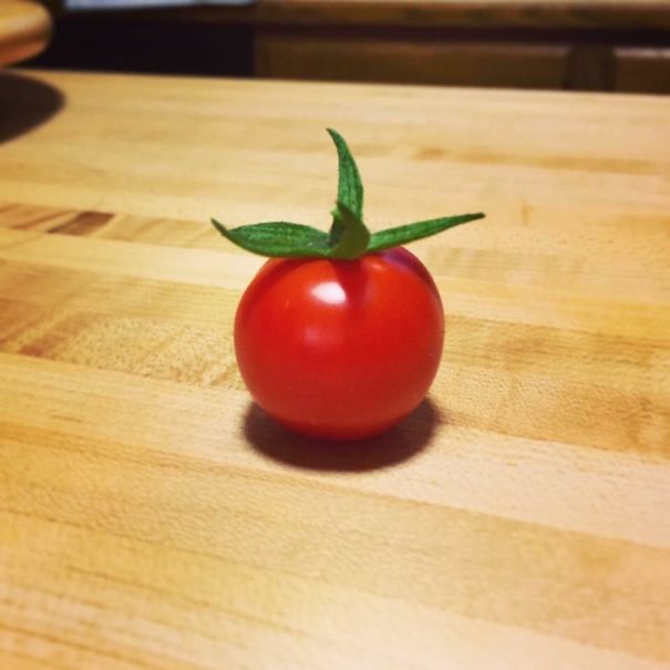 Today I Spied A Cartoonily Perfect Homegrown Tomato