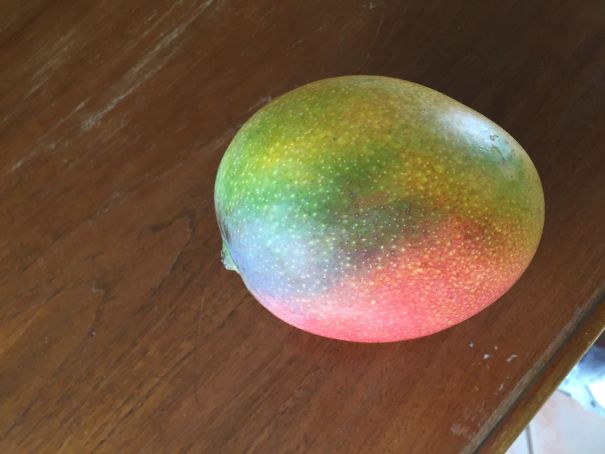 My Mango Is Rainbow Colored