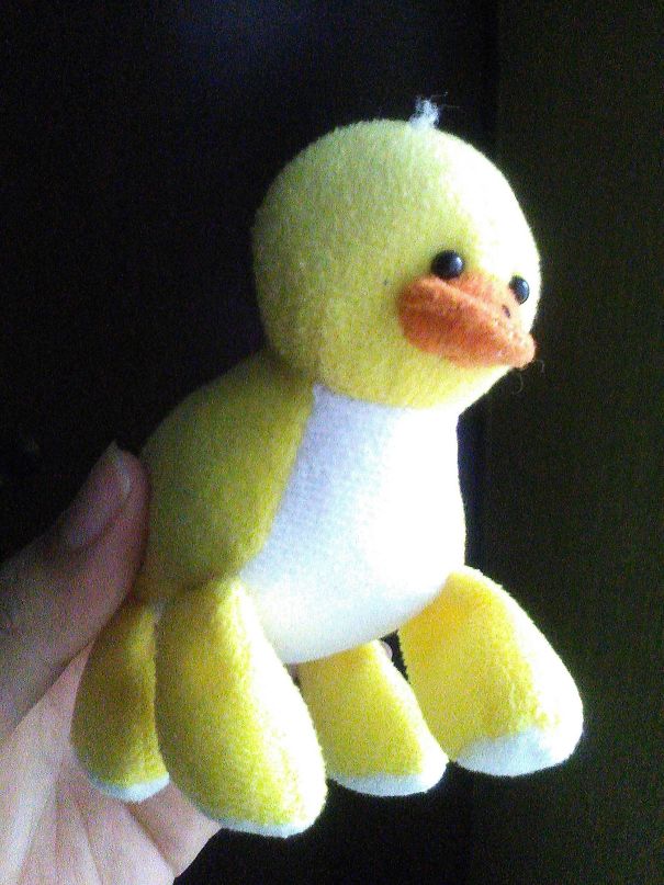 My Four-Legged Duck