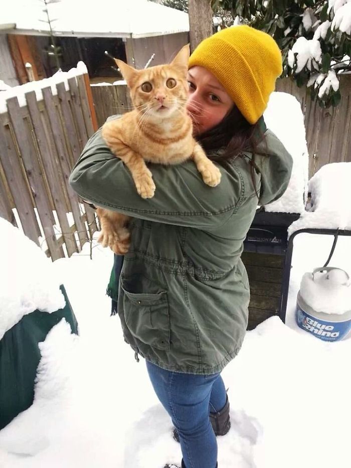 My Friend's Cat's First Experience With Snow. Pure Terror