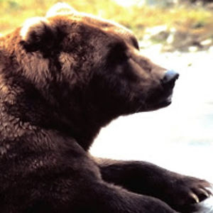 davidmichael_1 avatar