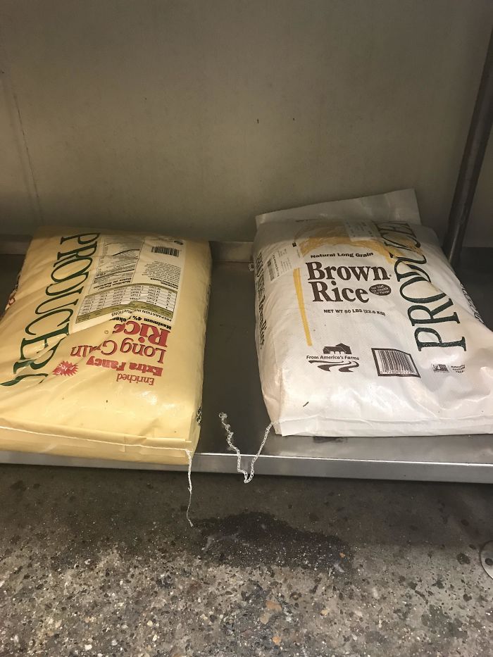 I️ Work At Chipotle, The Brown Rice Comes In A White Bag, And The White Rice Comes In A Brown Bag