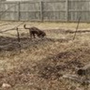 stonewallpopincrop avatar