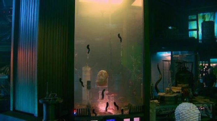 The Alien Slugs From James Gunn's First Film Slither (2006) Are Among The Collector's Collection In Guardians Of The Galaxy (2014)