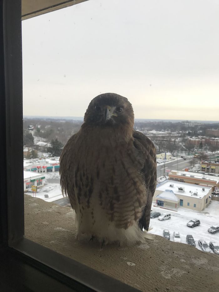 I Work On The 10th Floor Of An Office Tower. I Have A Friend Who Stops By Daily