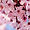 pinkrose avatar
