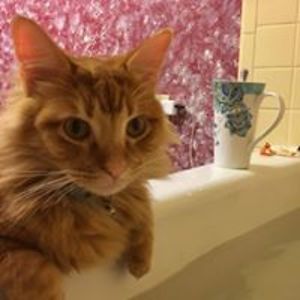 deadmandancing avatar