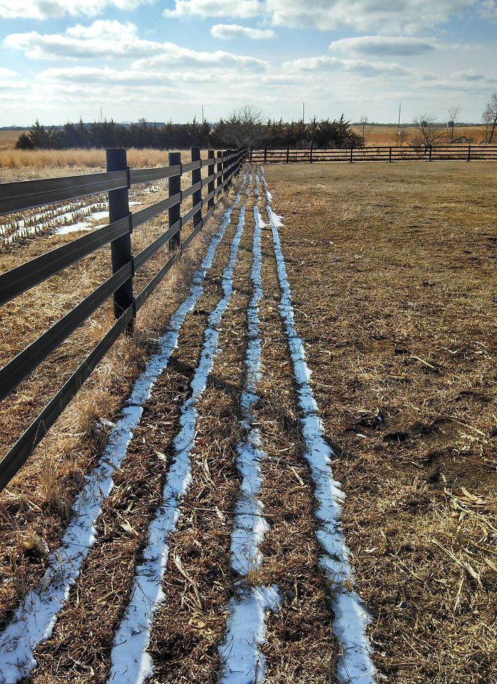 The Rails Of This Fence Prevent Snow From Melting But The Posts Do Not