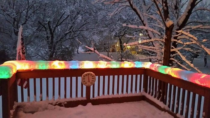 Christmas Lights Encased In Snow After Today's Snowstorm In Chicago