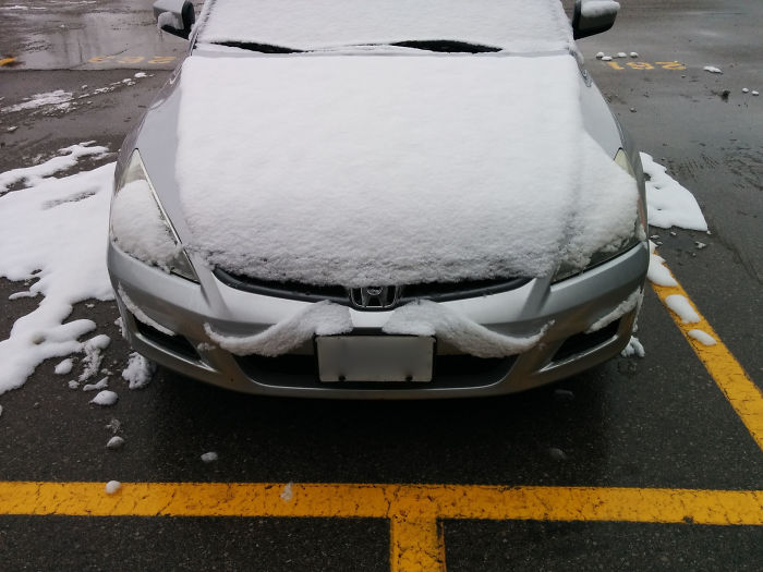 Snow Melted To Form A Moustache On My Car This Morning