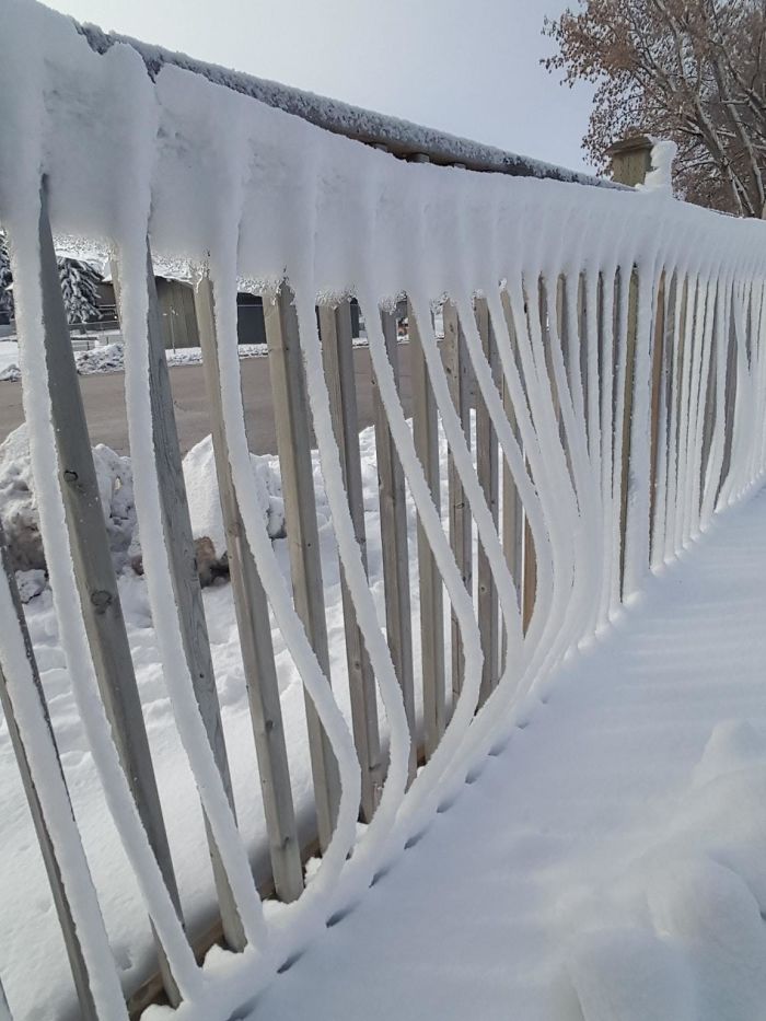 Icy Snow Bending Off The Fence