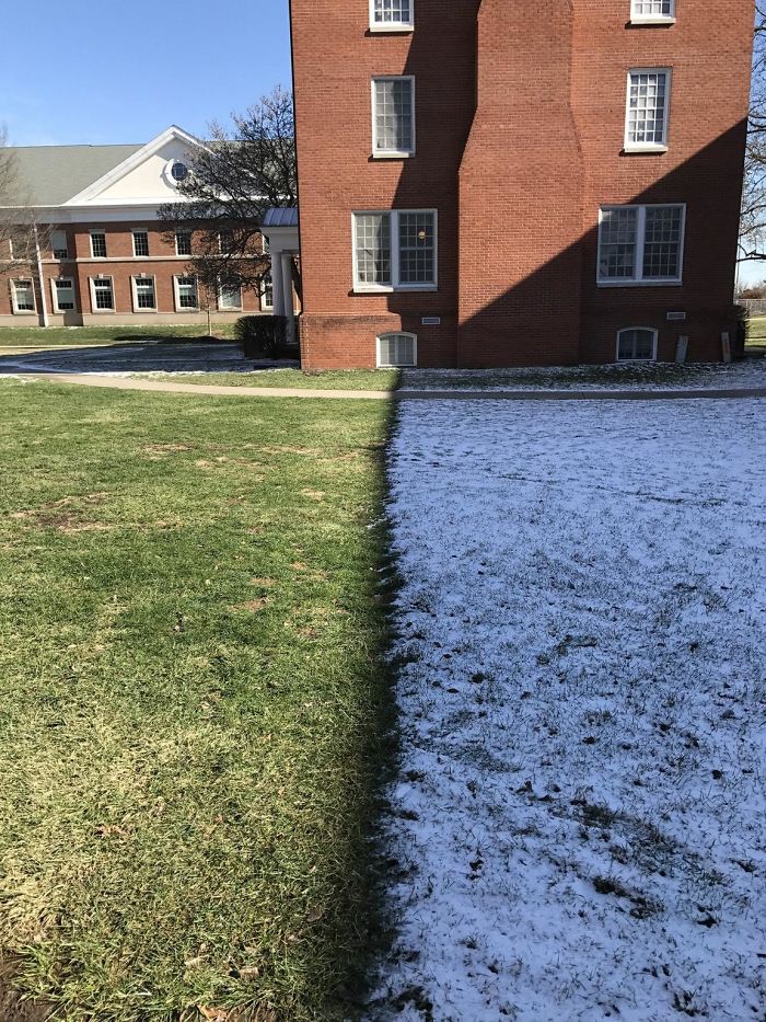 Interesting Divide In The Snow Outside My Dorm Today
