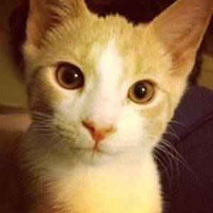 mary_p_hall_3 avatar