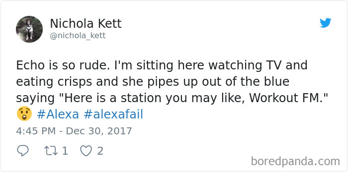 25 Funny Tweets About Amazon Alexa That Prove There's Nothing Artificial  About Her Intelligence | Bored Panda