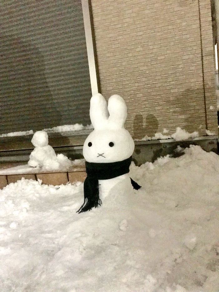 Heavy Snow Tokyo