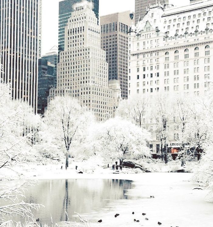 Nueva York cubierta de nieve