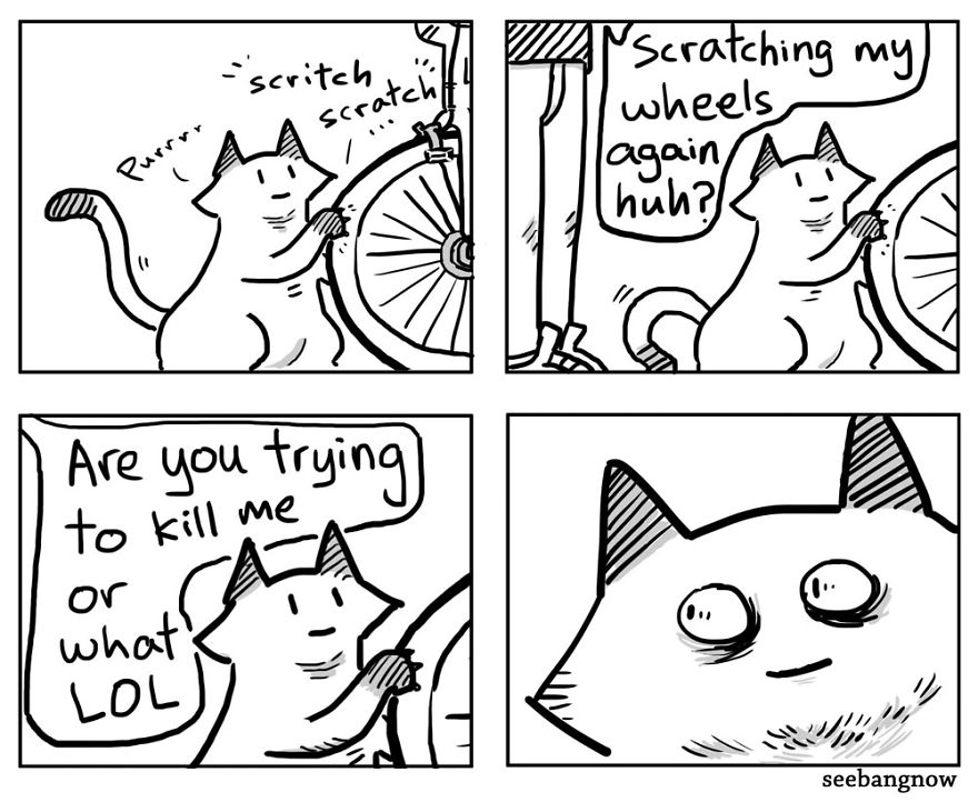 Cats Kidnapped Me And Made Me Draw Comics