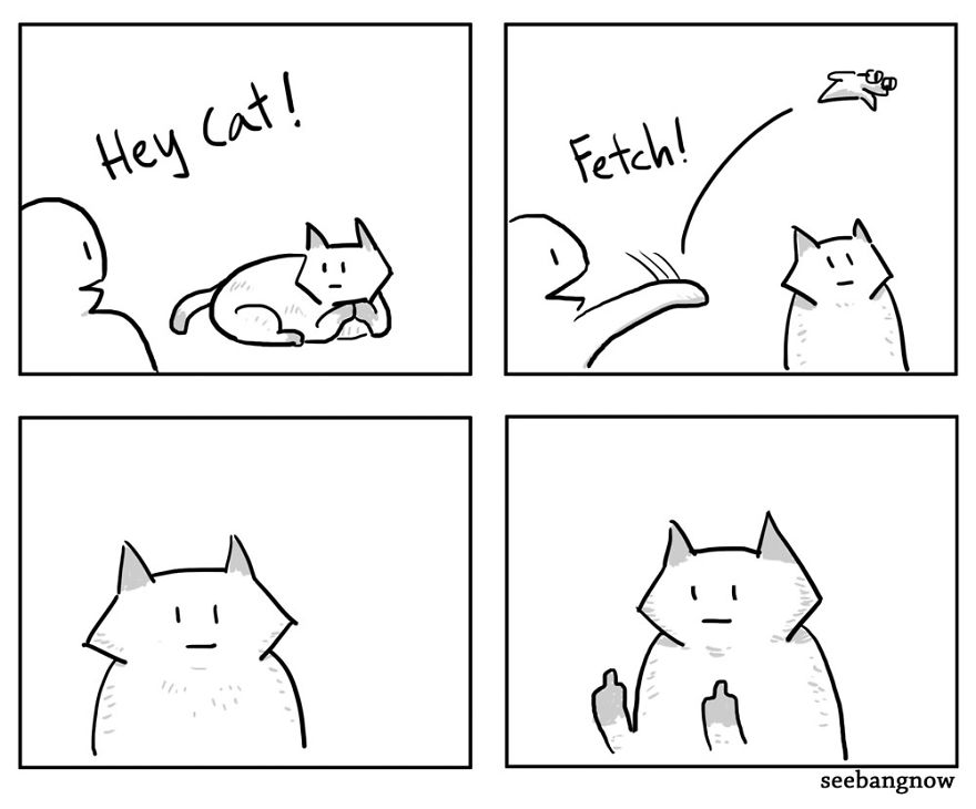 Cats Kidnapped Me And Made Me Draw Comics