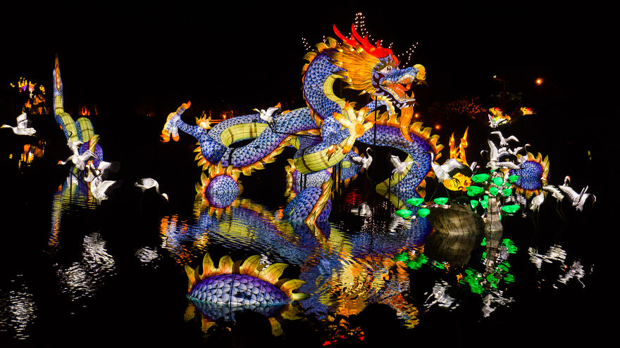 Chinese Lantern Festivel 2017 Chinese Lantern Festivel 2017