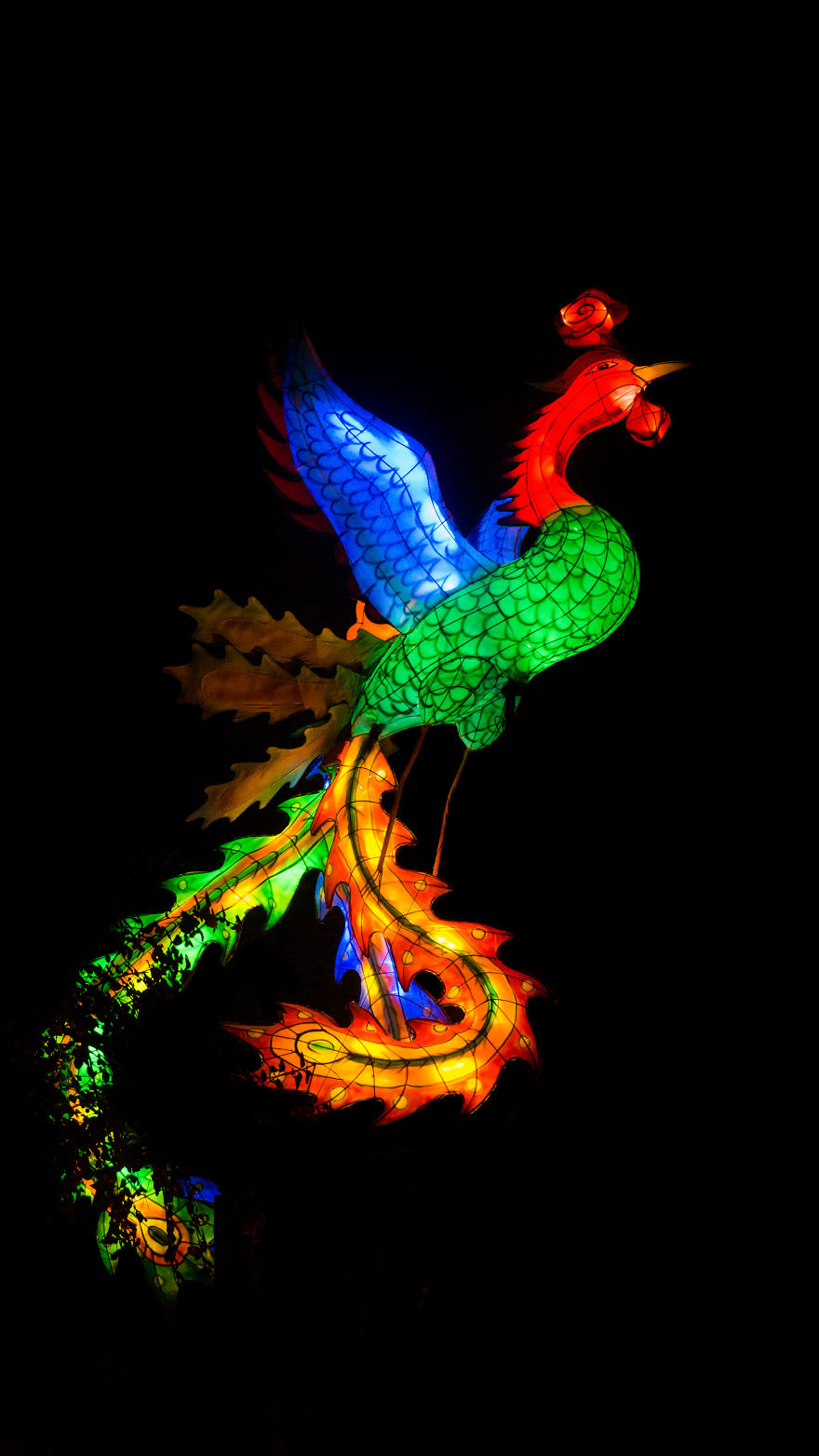 Chinese Lantern Festivel 2017 Chinese Lantern Festivel 2017