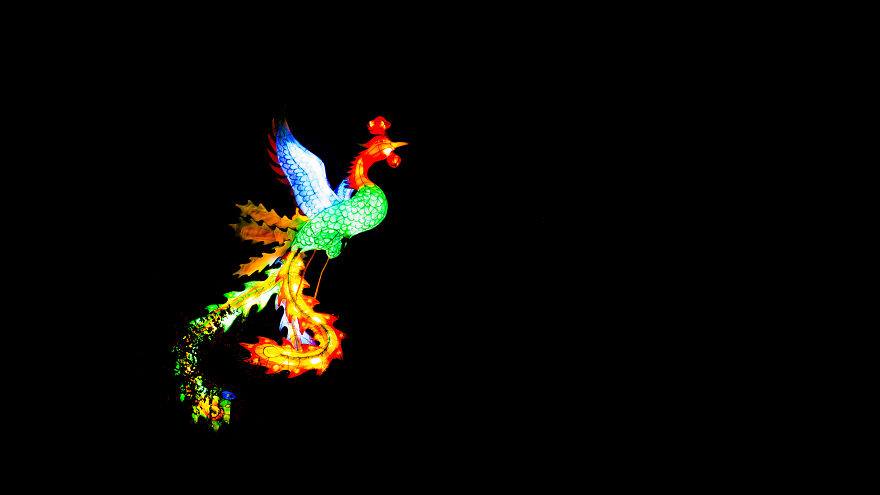 Chinese Lantern Festivel 2017 Chinese Lantern Festivel 2017