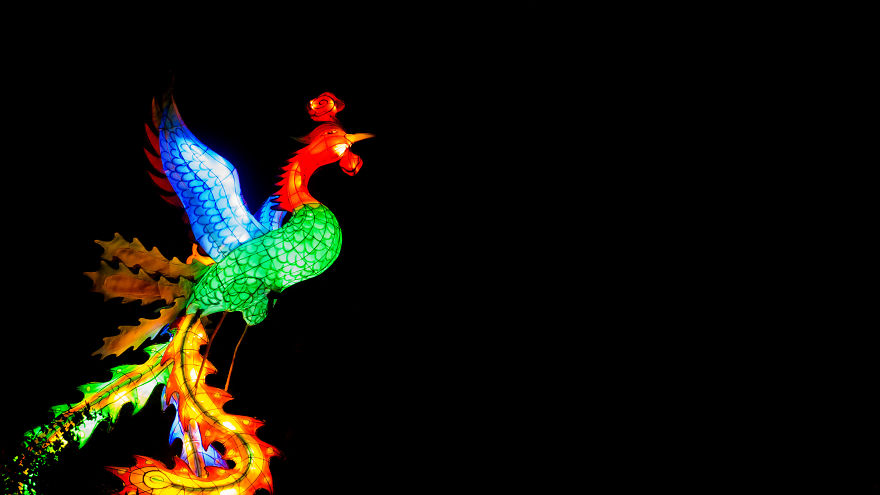 Chinese Lantern Festivel 2017 Chinese Lantern Festivel 2017