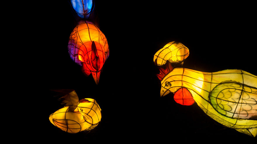 Chinese Lantern Festivel 2017 Chinese Lantern Festivel 2017