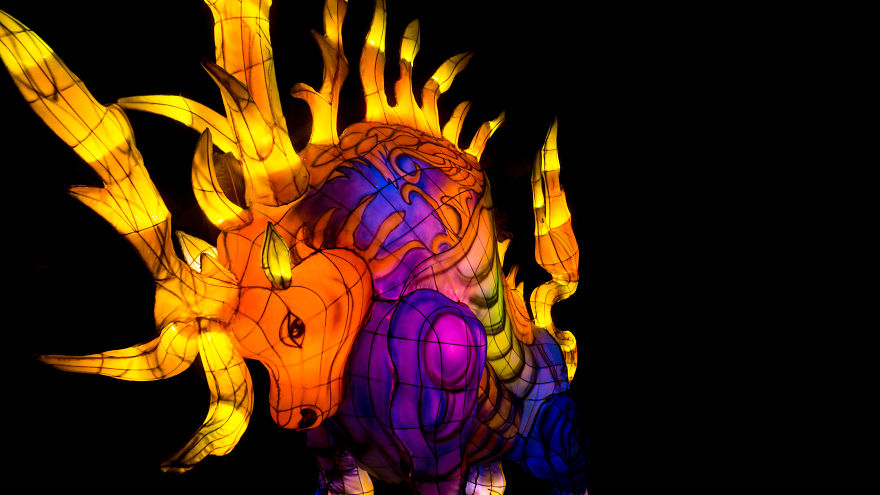 Chinese Lantern Festivel 2017 Chinese Lantern Festivel 2017